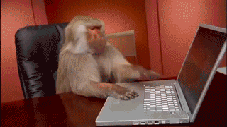 Monkey